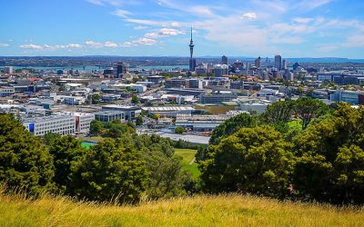 GREEN CLEANING AUCKLAND – Prestige Clean