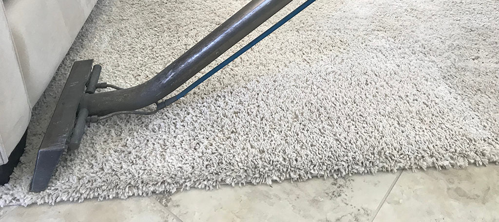 WHY IS IT IMPORTANT TO HIRE A CARPET CLEANING PROFESSIONAL -Prestige Clean